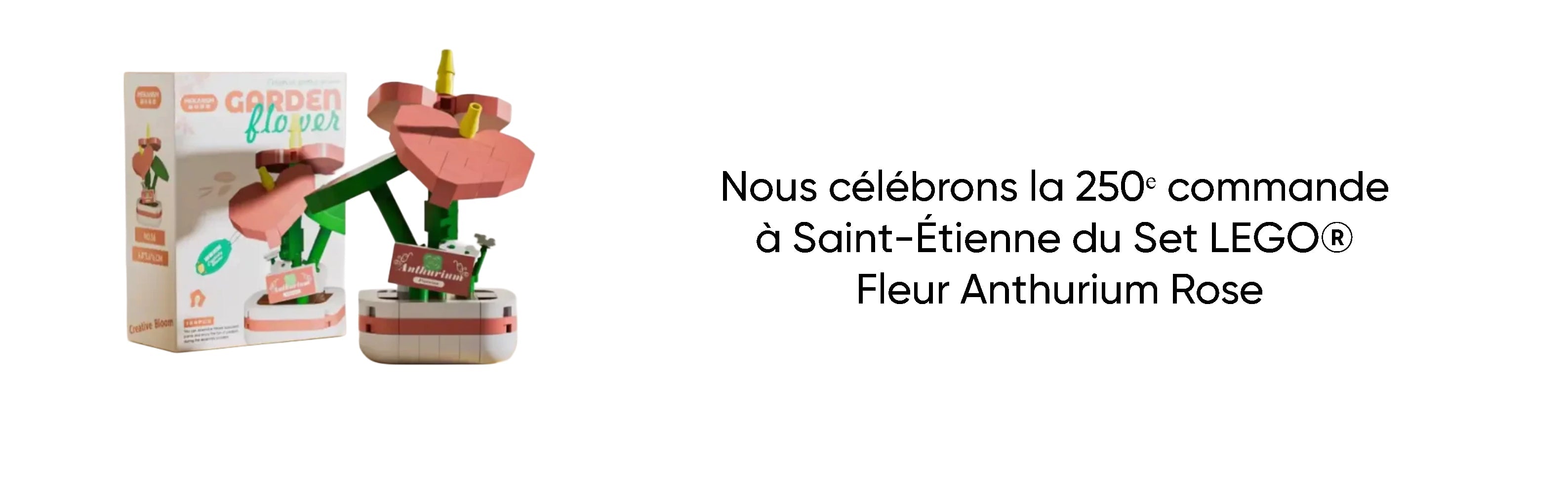 Nous célébrons la 250ᵉ commande à Saint-Étienne du Set LEGO® Fleur Anthurium Rose