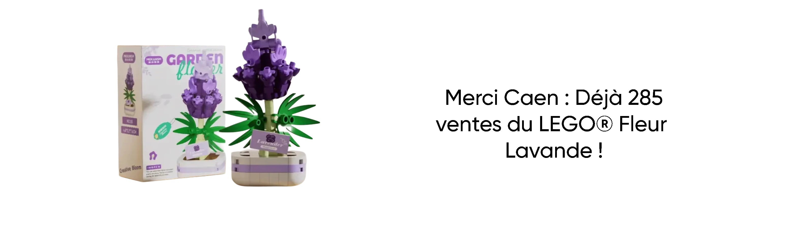 Merci Caen : Déjà 285 ventes du LEGO® Fleur Lavande !