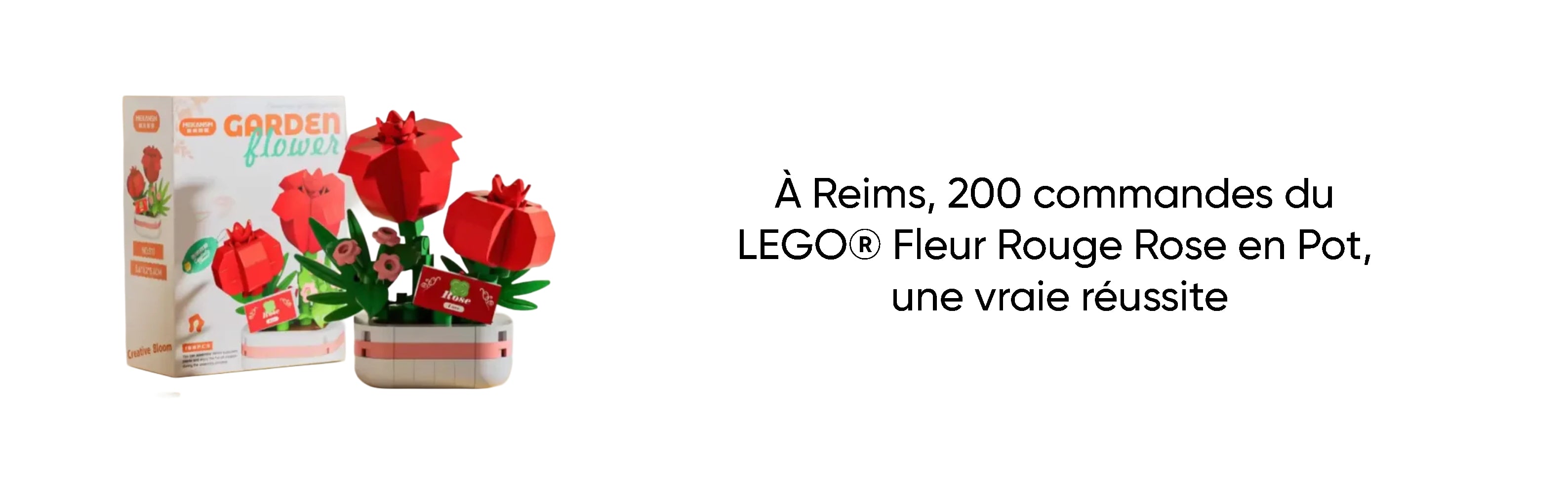 À Reims, 200 commandes du LEGO® Fleur Rouge Rose en Pot, une vraie réussite