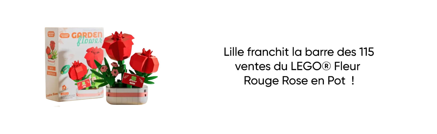 Lille franchit la barre des 115 ventes du LEGO® Fleur Rouge Rose en Pot  !
