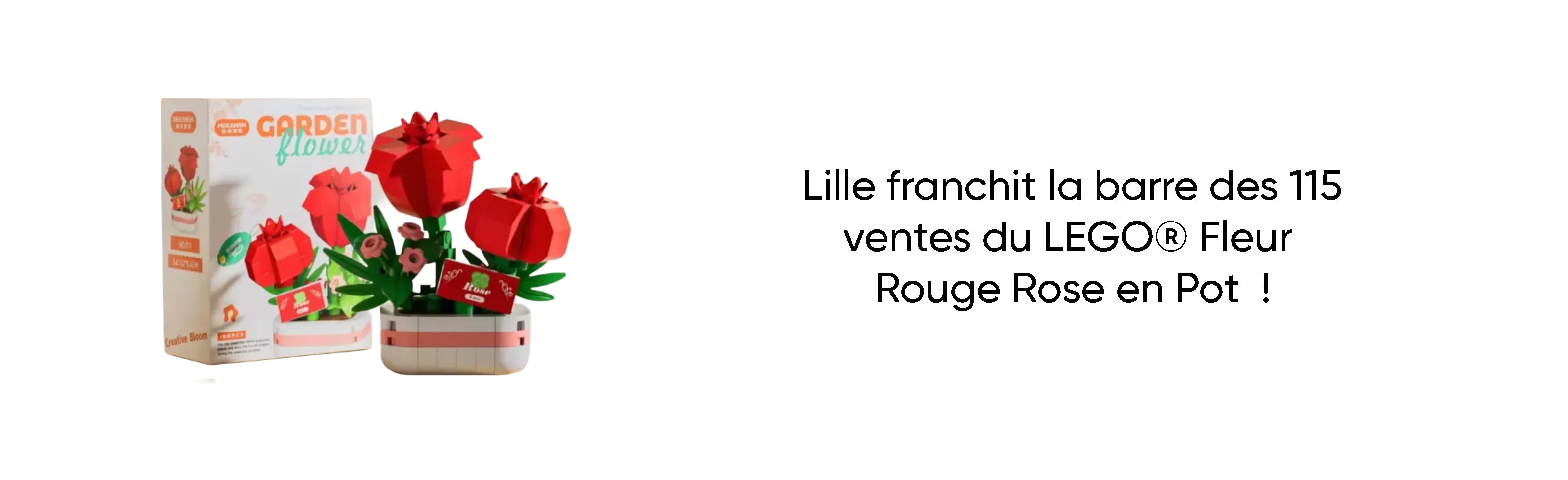 Lille franchit la barre des 115 ventes du LEGO® Fleur Rouge Rose en Pot  !